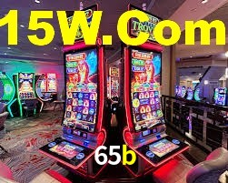 65b,65b.com
